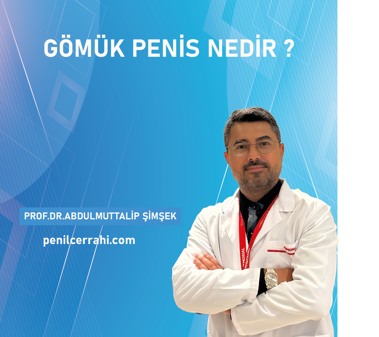Gömük Penis
